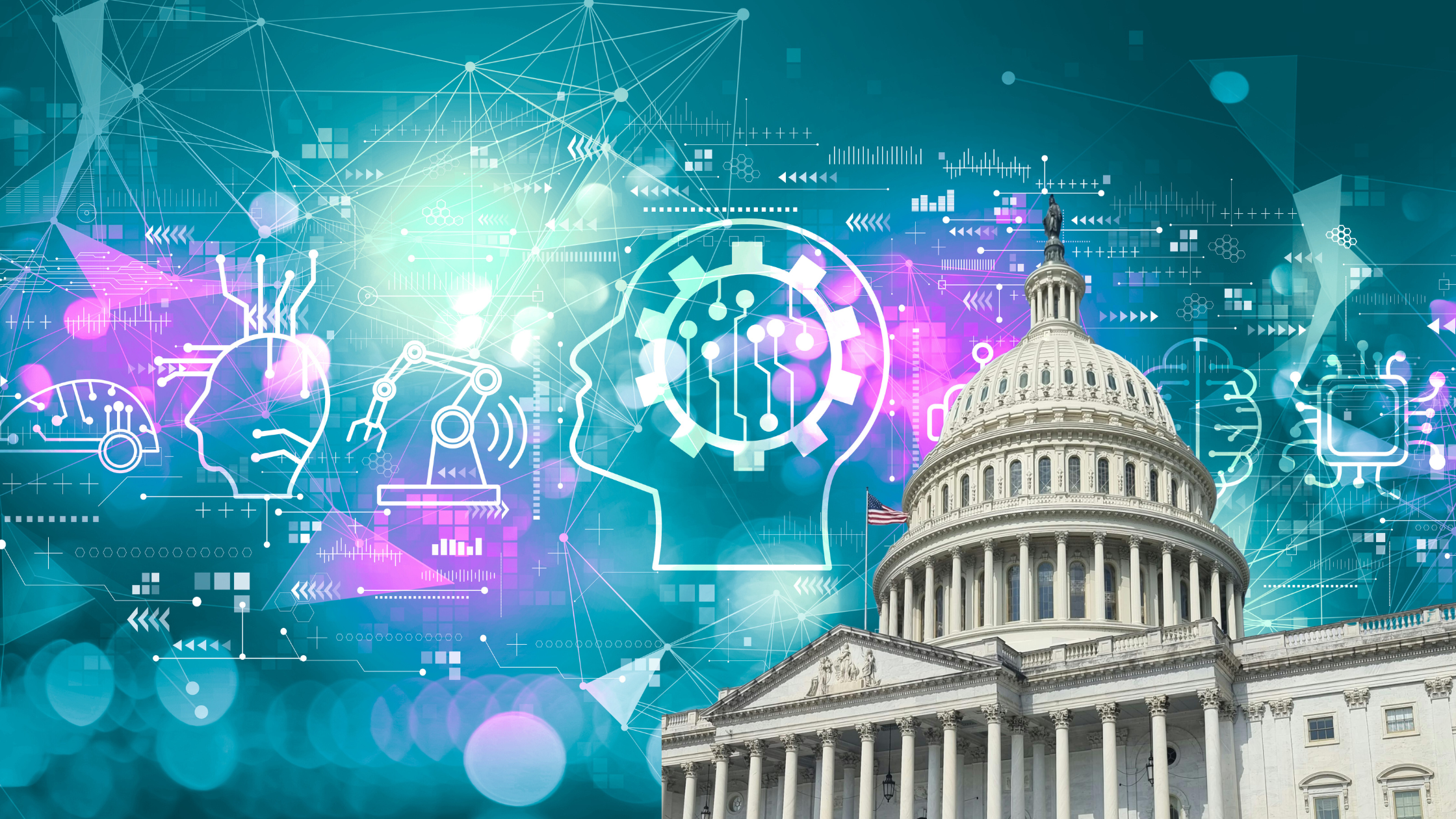 government contracts